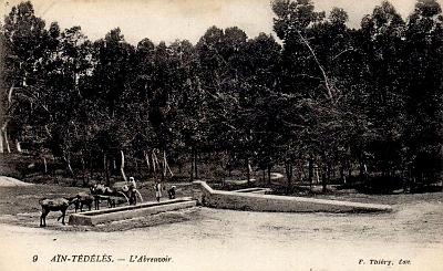 Ain-Tedeles-Abreuvoir