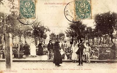 Ain-Temouchent-PlaceMairie-MarcheAuxHerbes