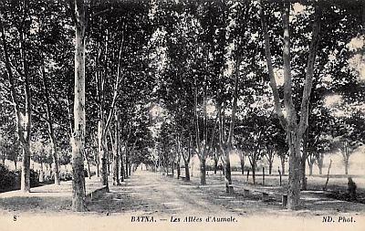 Batna-AlleesAumale