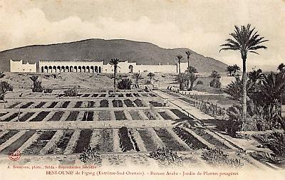 Beni-Ounif-BureauArabe-Jardin