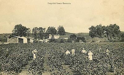 Birtouta-ProprieteLeroy