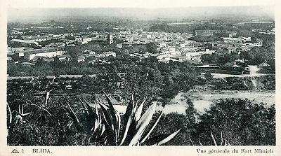 Blida-Vue-DuFortMimiche