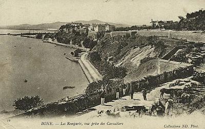 Bone-Remparts-VuePriseDesCaroubiers