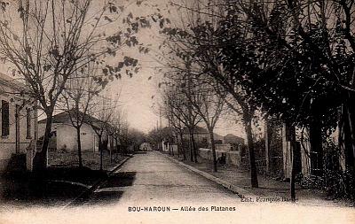 Bou-Haroun-AlleePlatanes