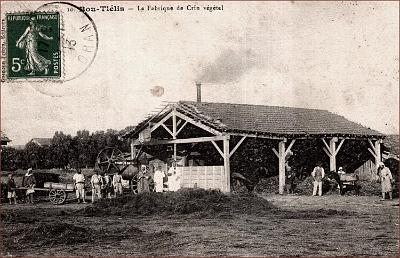 Bou-Tlelis-FabriqueCrinVegetal