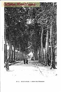 Boufarik-AlleePlatanes-01