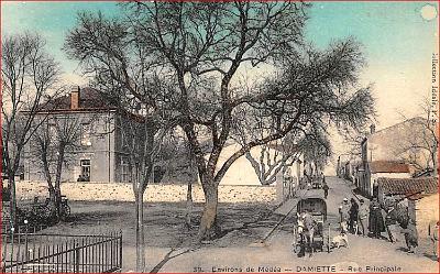 Damiette-RuePrincipale