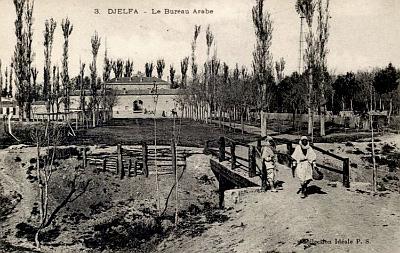 Dlelfa-BureauArabe