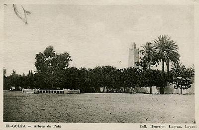 El-Golea-ArbresDePaix