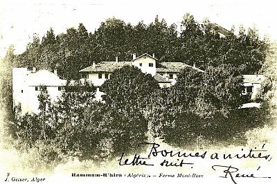 Hammam-Rhira-FermeMontRose