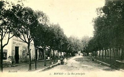Rovigo-RuePrincipale-01