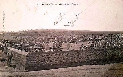 Sedrata-MarcheBestiaux