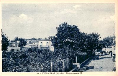 Souk-Ahras-RueAlexandre3