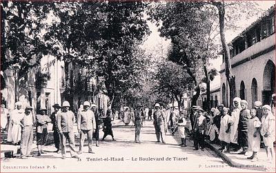 Teniet-El-Haad-BdTiaret