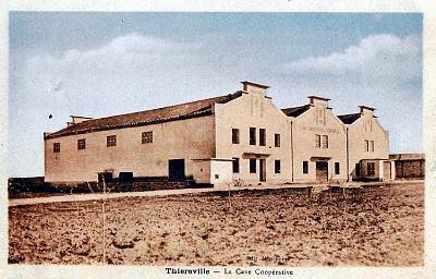 Thiersville-CaveCooperative