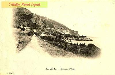 Tipaza-Chenoua