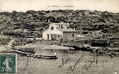 Tipaza-Douane