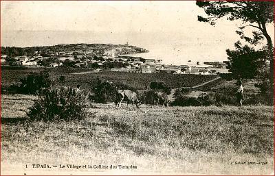 Tipaza-VueVillage