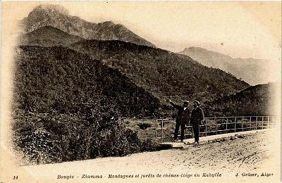 Ziama--Montagnes-ForetsChenesLiege