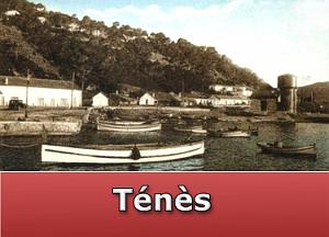 Tenes
