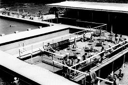 Alger-PiscineElKettani-Solarium