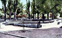 Aflou-Jardin-Fontaine