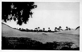 Ain-Salah-EntreePalmeraie