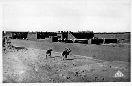 Ain-Salah-RefugeMouflons