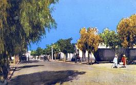 Ain-Sefra-RueDeFrance