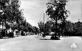 Alma-RuePpale-Marche