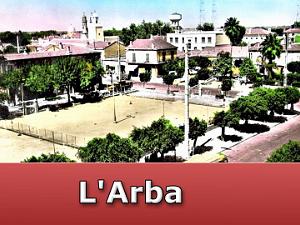 Arba