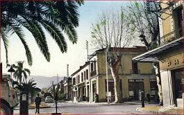 Boufarik-BdPolicarpeGros-01