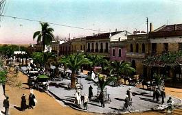 Boufarik-BdPolycarpeGros