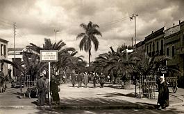 Boufarik-Boulevard-GrosArbreDeLaLiberte