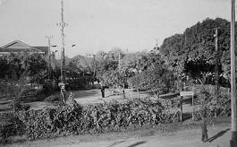 Burdeau-Boulodrome-01