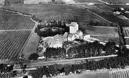 Baba-Ali-Distillerie-ExploitationSIAMNA