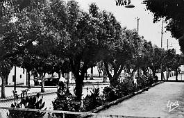 Baba-Hassen-LaPlace-Boulodrome