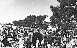 Cassaigne-LeMarche-01