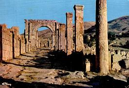 Djemila-VieuxForum-Colonnades