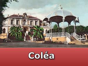 Colea