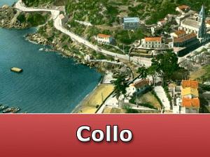 Collo