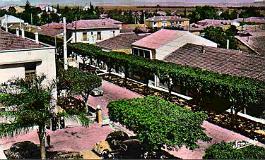 El-Affroun-RuePrincipale-RouteOran