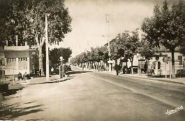 El-Harrouch-RueNationale