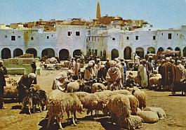 Ghardaia-JourMarche-01