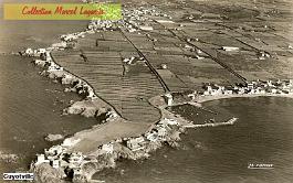 Guyotville-Aerien-LaMadrague