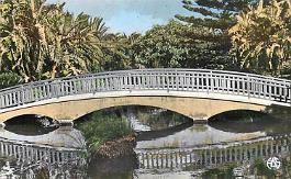 Hammam-Bou-Hadjar-JardinPublic-LePont