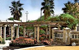 Hammam-Bou-Hadjar-JardinPublic