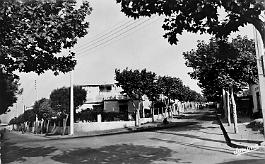 Hussein-Dey-QuartierLeveiller-RueCourly