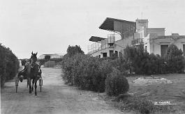 La-Senia-HippodromeDuFiguier