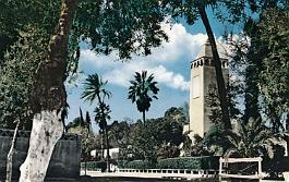 Laghouat-Bordj-Avenue